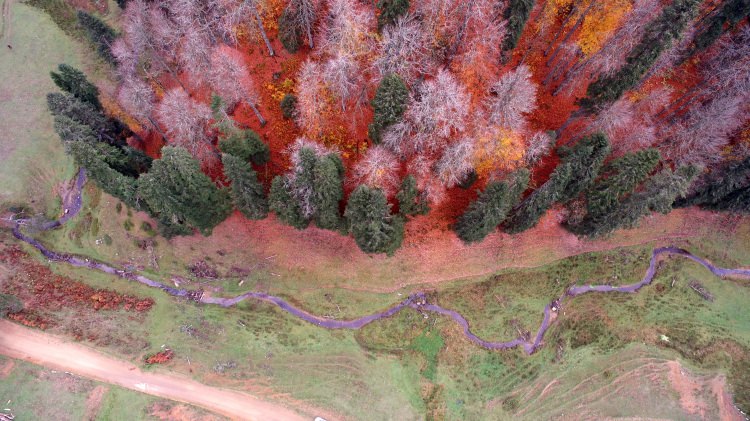Batı Karadeniz yaylalarının sonbahar manzarası - 4