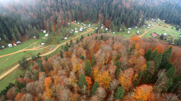 Batı Karadeniz yaylalarının sonbahar manzarası - 6