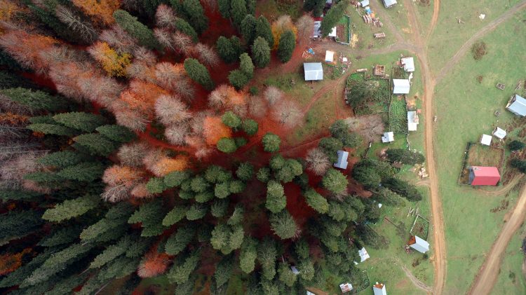 Batı Karadeniz yaylalarının sonbahar manzarası - 7