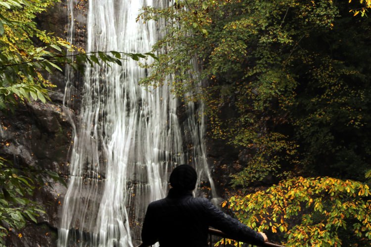 Batı Karadeniz yaylalarının sonbahar manzarası - 12