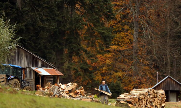 Batı Karadeniz yaylalarının sonbahar manzarası - 14
