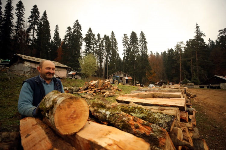 Batı Karadeniz yaylalarının sonbahar manzarası - 15