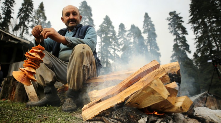Batı Karadeniz yaylalarının sonbahar manzarası - 17