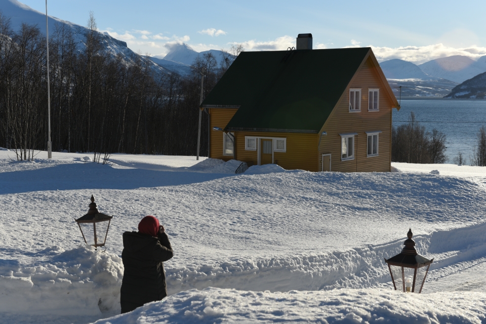 Kuzey ışıklarının görsel şovu - 2