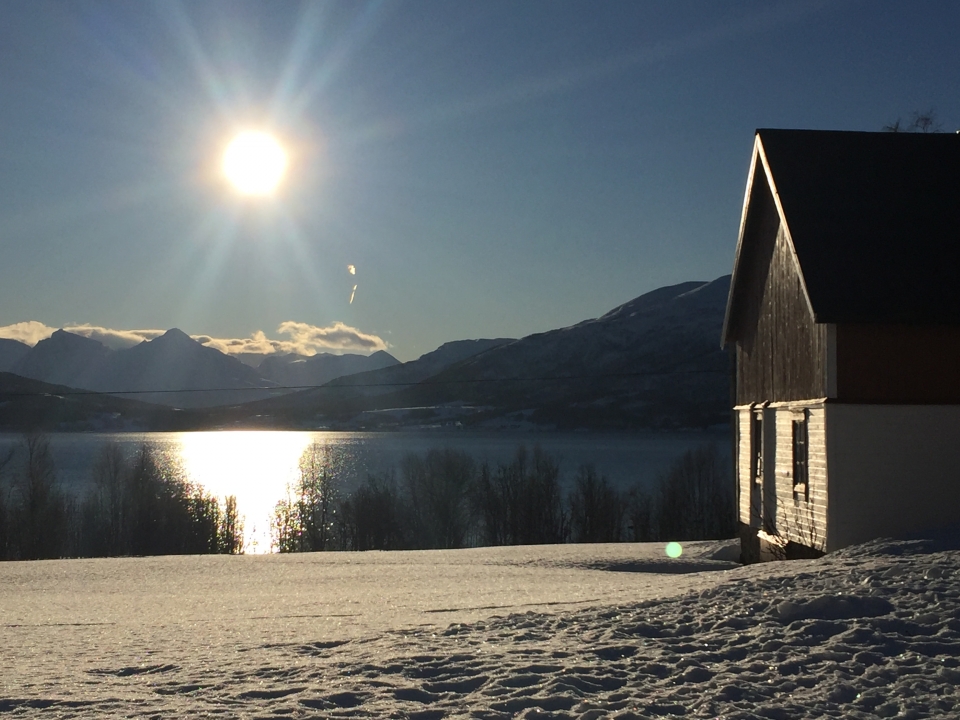 Kuzey ışıklarının görsel şovu - 3