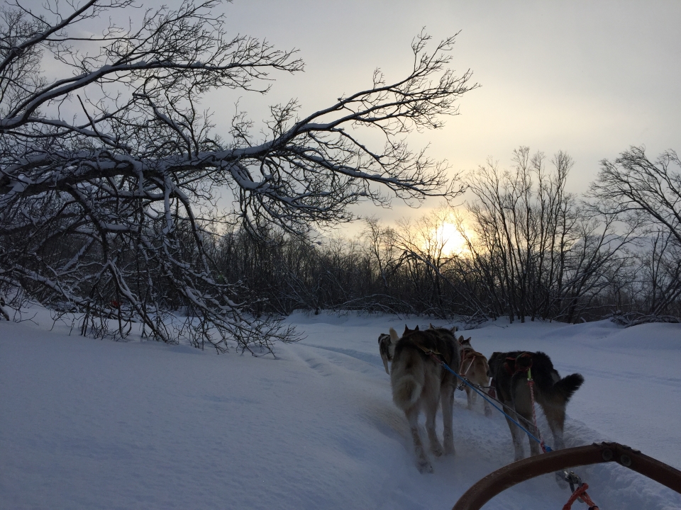 Kuzey ışıklarının görsel şovu - 5