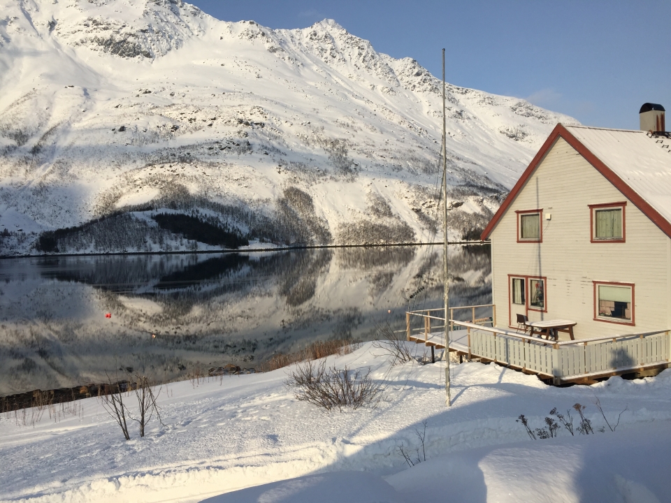 Kuzey ışıklarının görsel şovu - 7