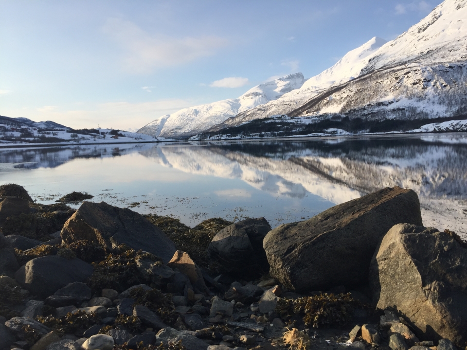 Kuzey ışıklarının görsel şovu - 10