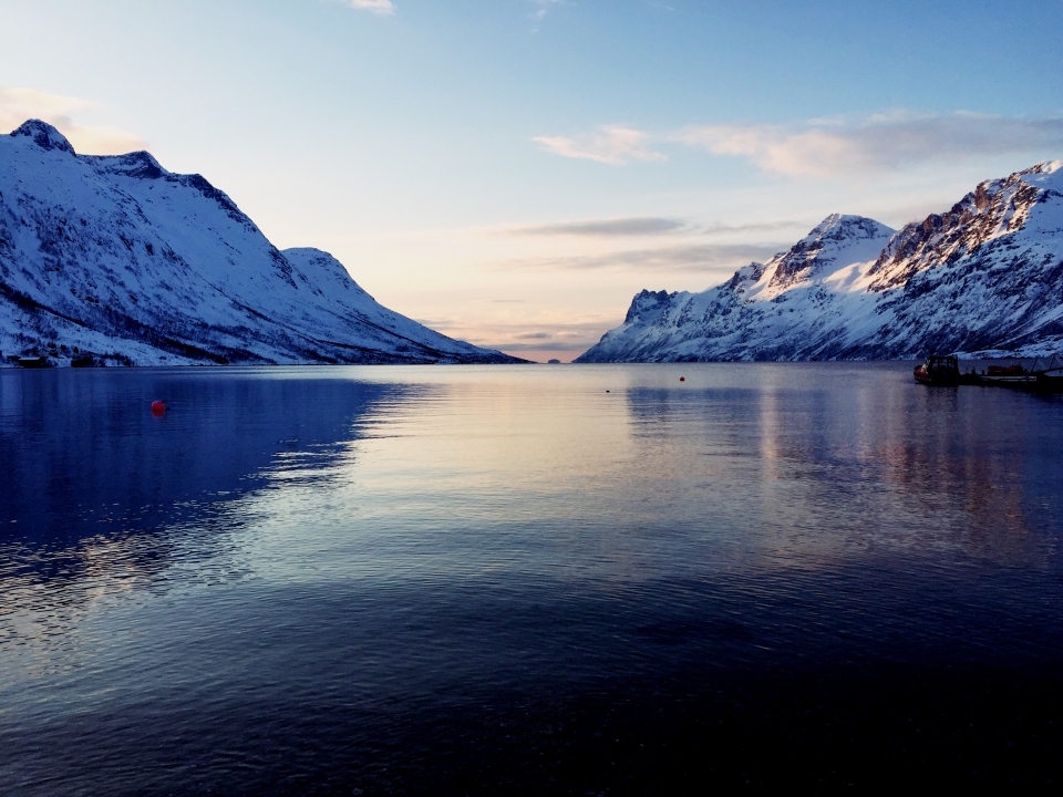 Kuzey ışıklarının görsel şovu - 11