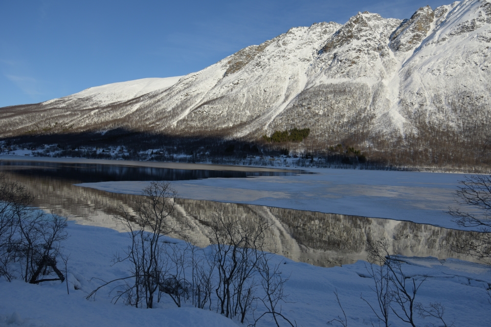 Kuzey ışıklarının görsel şovu - 12