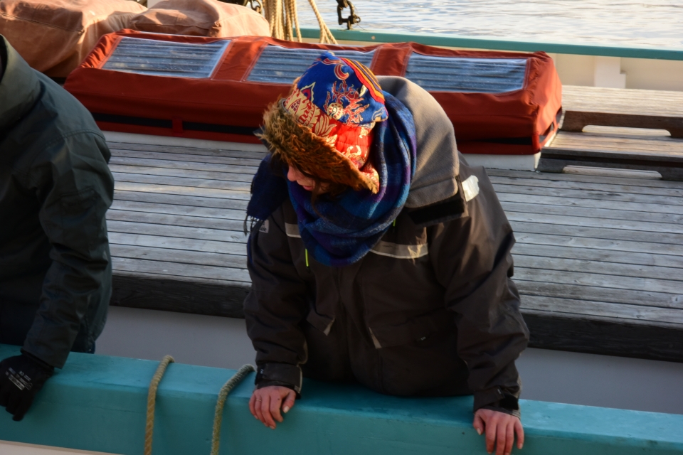 Kuzey ışıklarının görsel şovu - 13