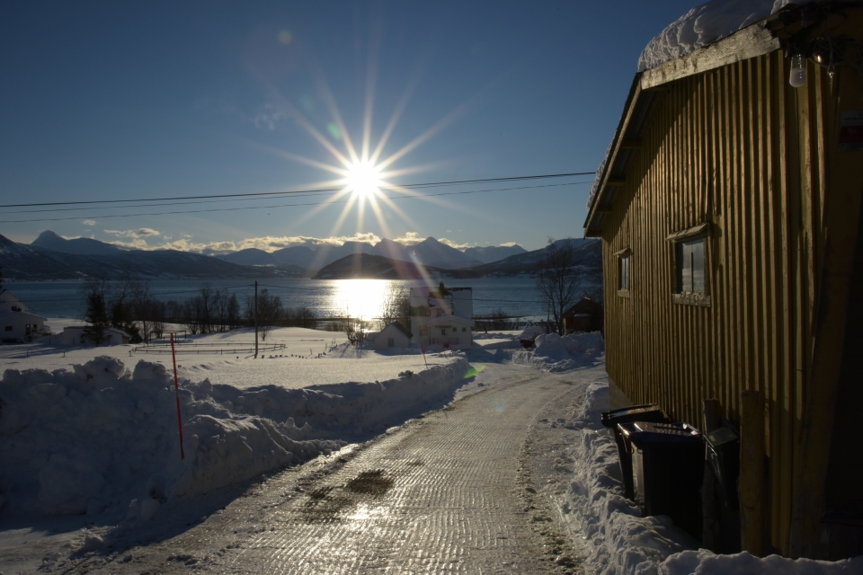 Kuzey ışıklarının görsel şovu - 14