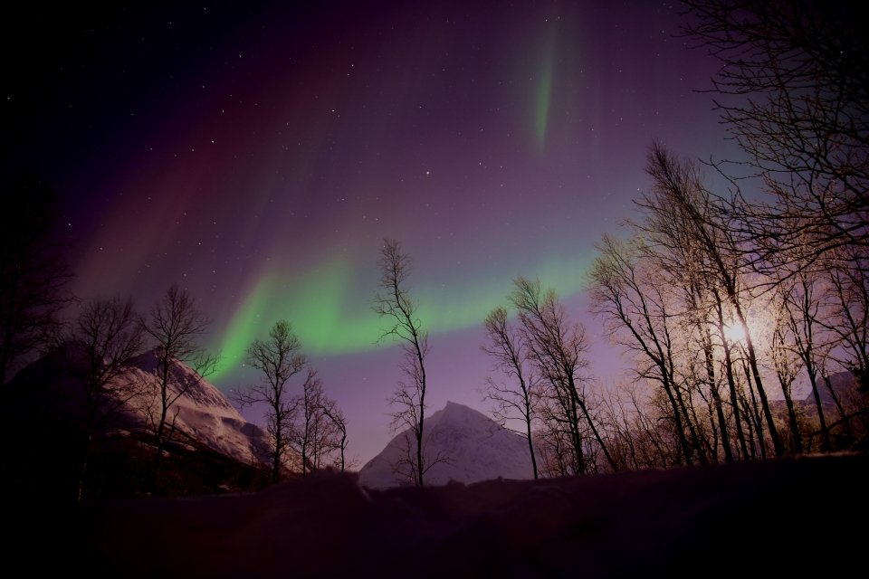 Kuzey ışıklarının görsel şovu - 16