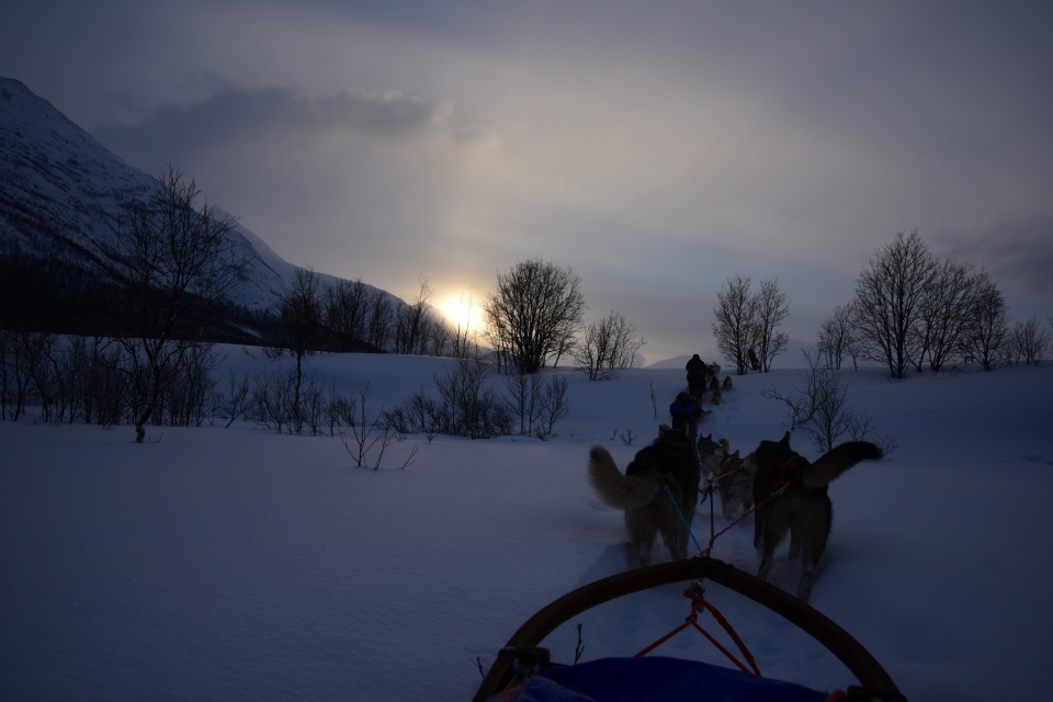Kuzey ışıklarının görsel şovu - 17