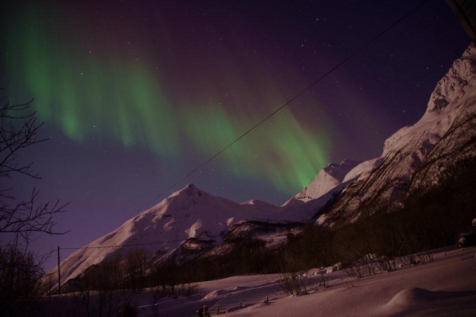 Kuzey ışıklarının görsel şovu - 18