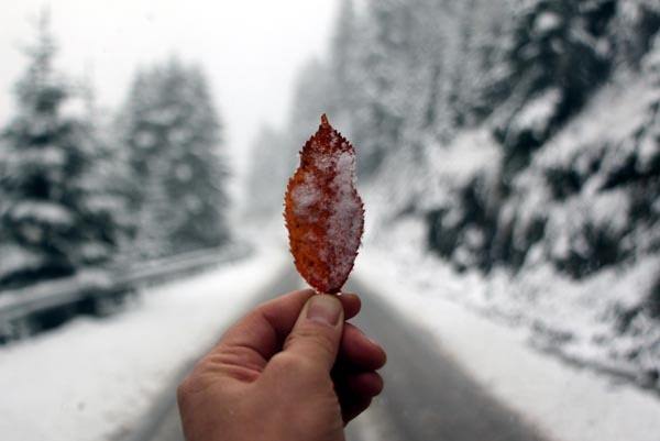 Kartepe'ye yılın ilk karı düştü - 1
