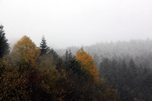 Kartepe'ye yılın ilk karı düştü - 8