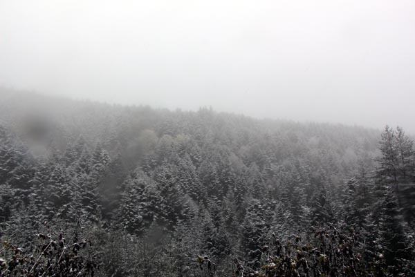 Kartepe'ye yılın ilk karı düştü - 15