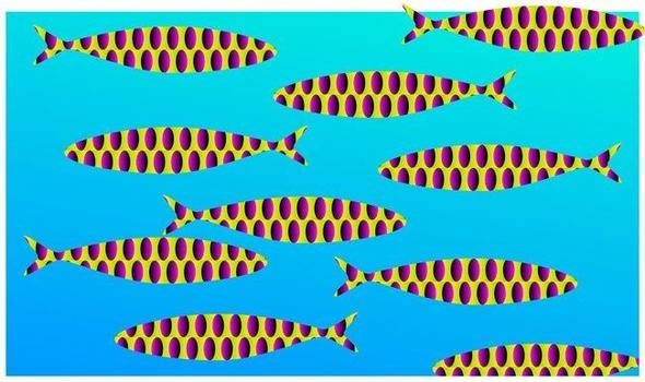 Bu fotoğraflardaki görsel illüzyon kafanızı karıştıracak - 6