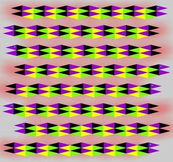 Bu fotoğraflardaki görsel illüzyon kafanızı karıştıracak - 7