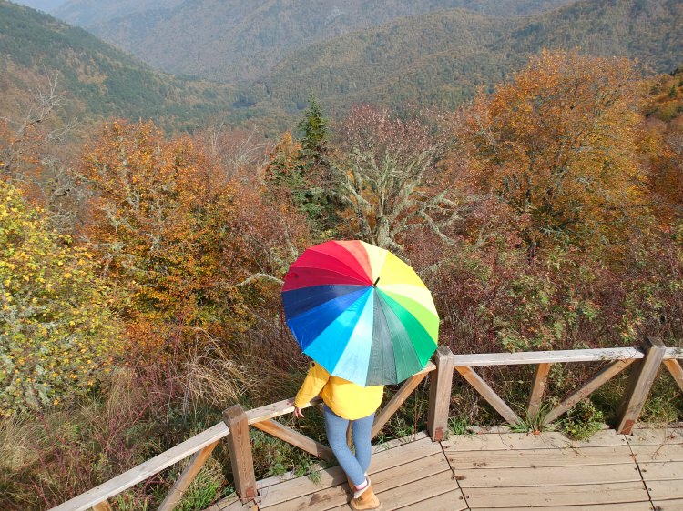 Türkiye'de görülmesi ve gezilmesi gereken yerleri - 18