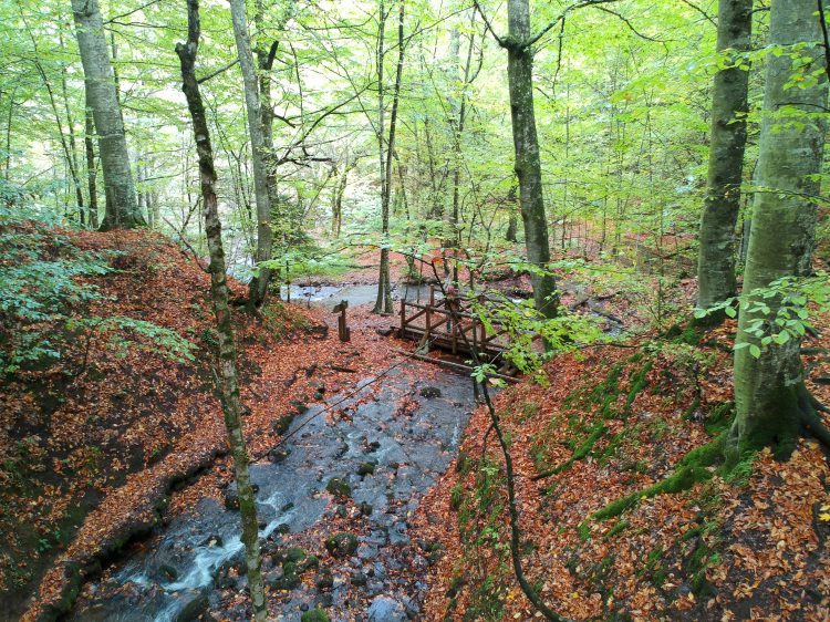 Türkiye'de görülmesi ve gezilmesi gereken yerleri - 19