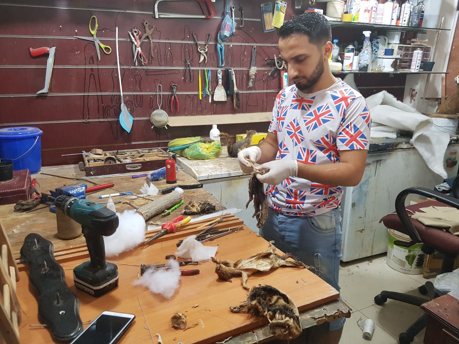 Katar çarşılarında sergilenen mumyalanmış hayvanlar - 0