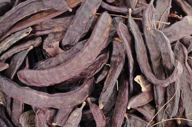 Benzediği organa iyi gelen yiyecekler - 18