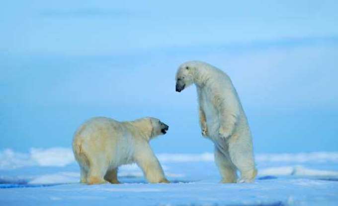 Bu adada ölmek yasak - 3