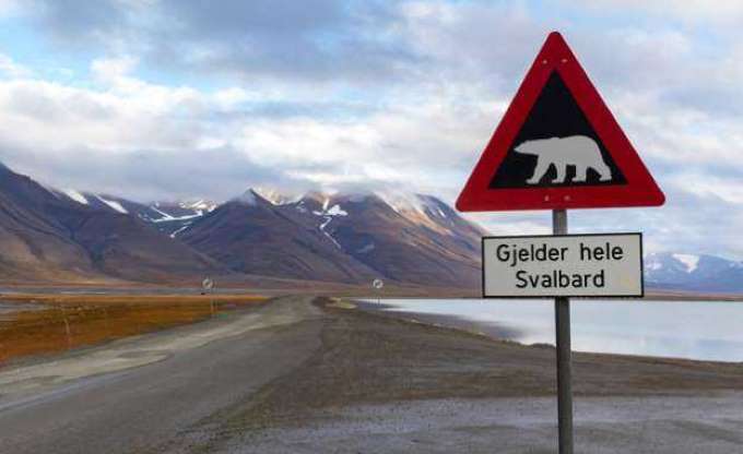 Bu adada ölmek yasak - 4