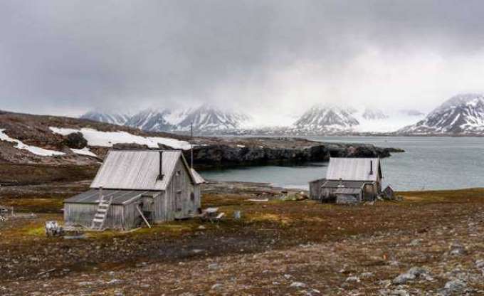 Bu adada ölmek yasak - 5