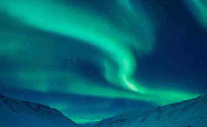 Bu adada ölmek yasak - 14