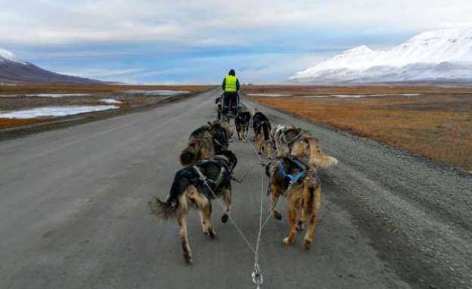 Bu adada ölmek yasak - 18