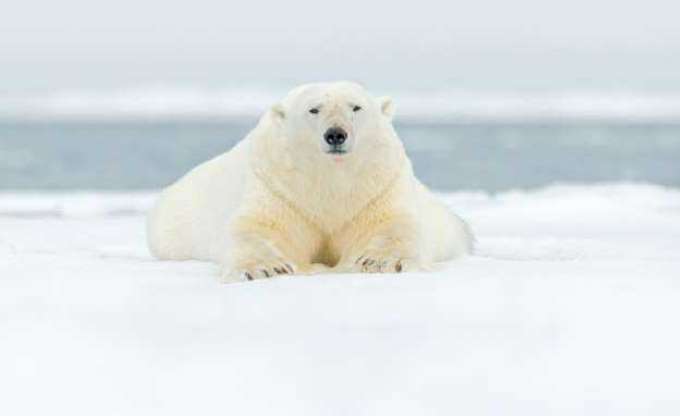 Bu adada ölmek yasak - 19