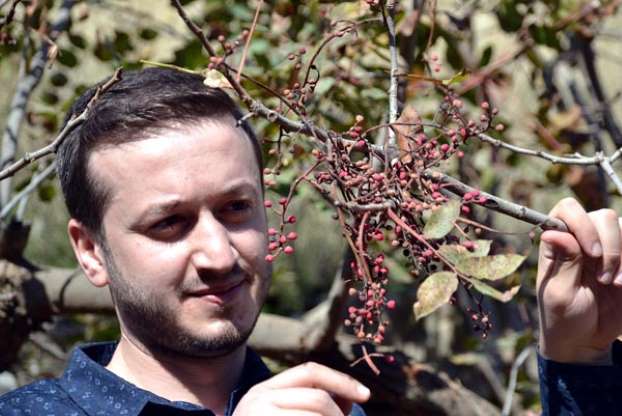 Avrupa ülkeleri, Bıttım sabununun peşinde - 1