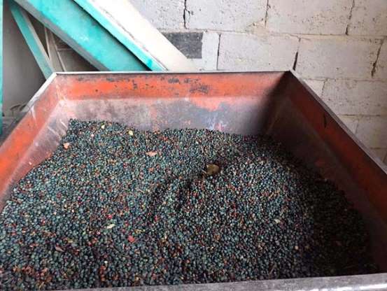 Avrupa ülkeleri, Bıttım sabununun peşinde - 5