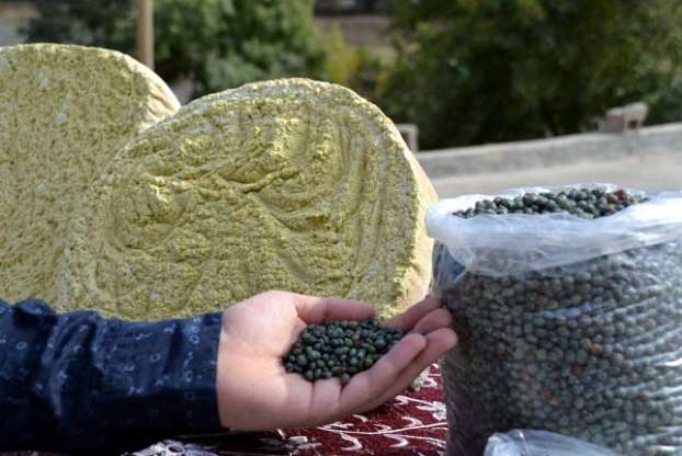 Avrupa ülkeleri, Bıttım sabununun peşinde - 6