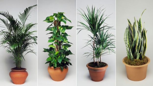 Evinizin sizi zehirliyor olabilir - 3