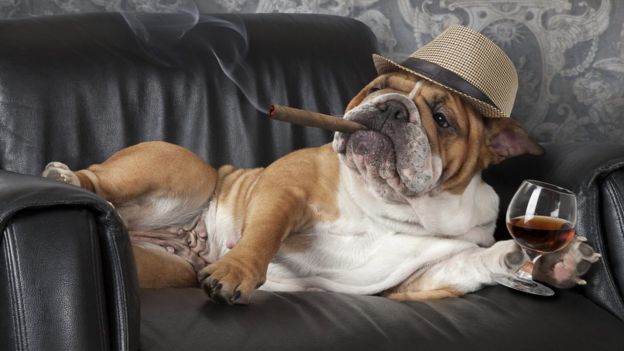 Evinizin sizi zehirliyor olabilir - 11