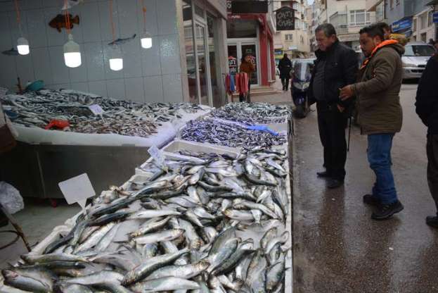 Karadeniz'de tirsi bolluğu - 3