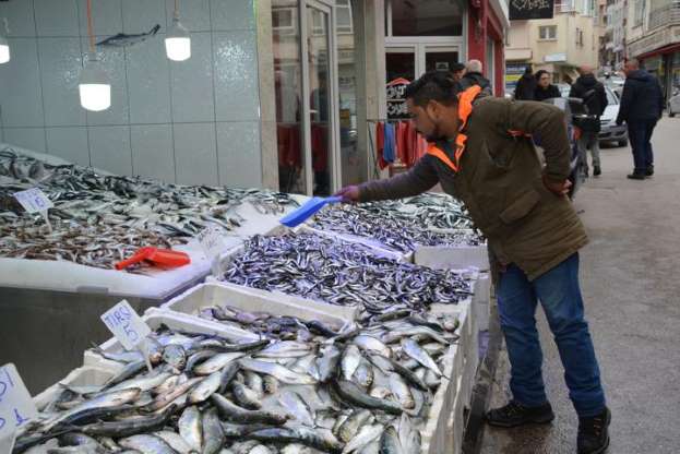 Karadeniz'de tirsi bolluğu - 4