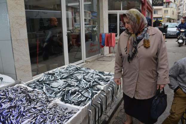 Karadeniz'de tirsi bolluğu - 8