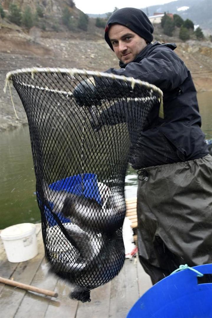 Gümüşhane'nin Torlu ilçesinden dünyaya balık ihraç ediliyor - 4