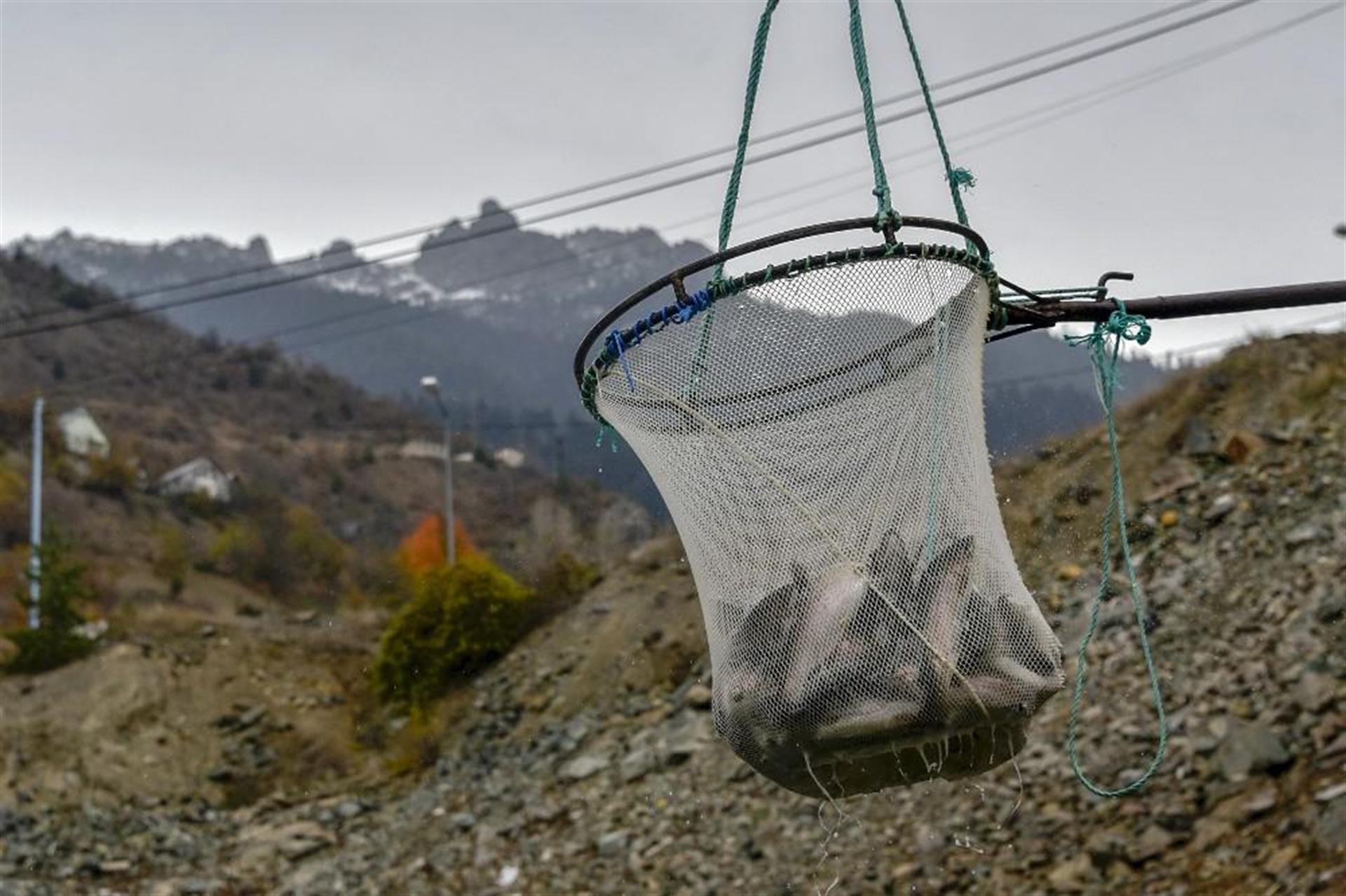 Gümüşhane'nin Torlu ilçesinden dünyaya balık ihraç ediliyor - 7