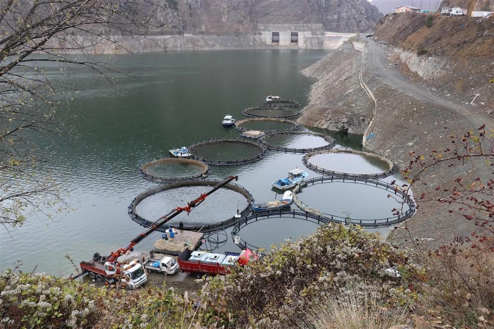 Gümüşhane'nin Torlu ilçesinden dünyaya balık ihraç ediliyor - 8