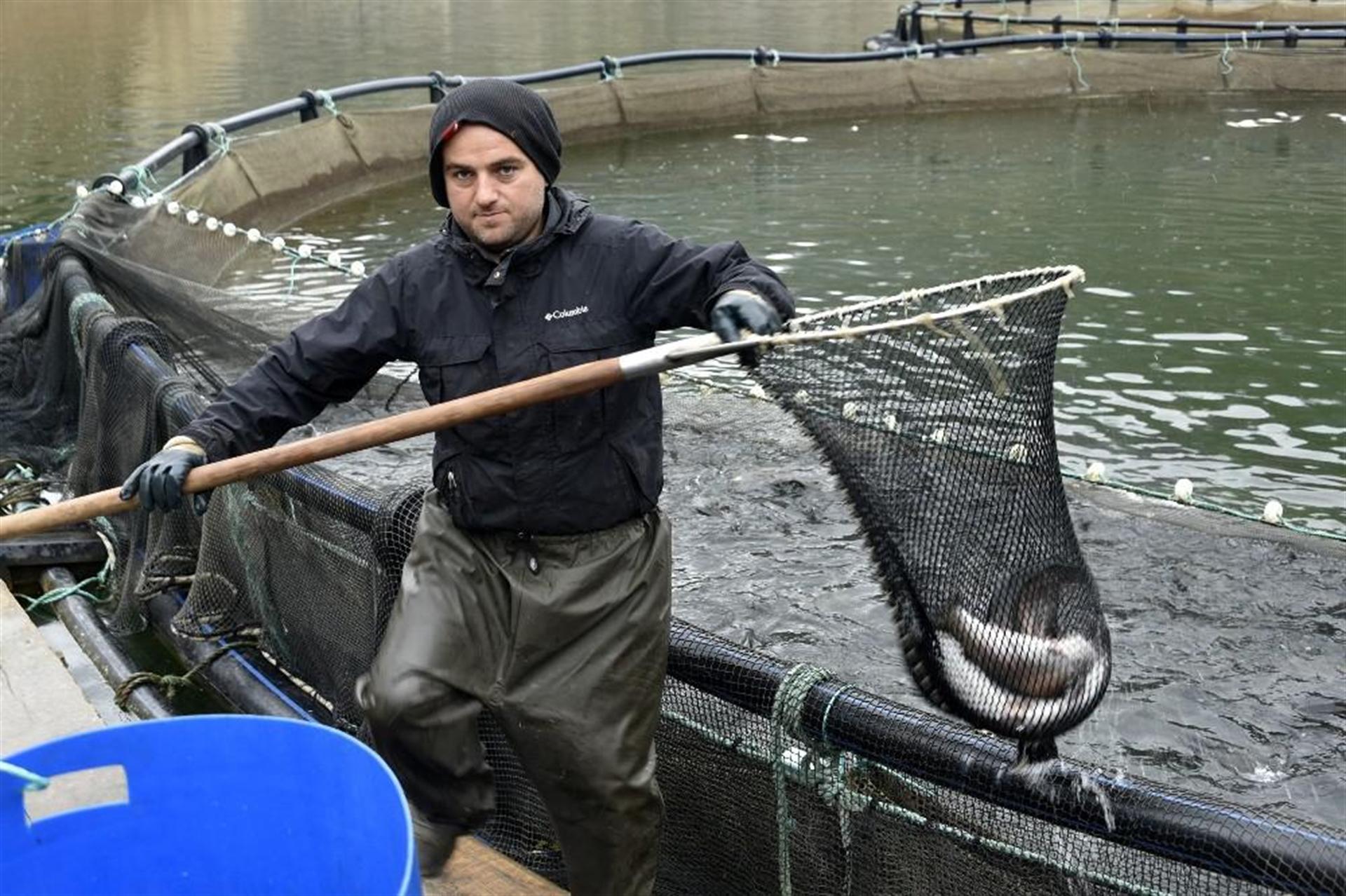 Gümüşhane'nin Torlu ilçesinden dünyaya balık ihraç ediliyor - 15