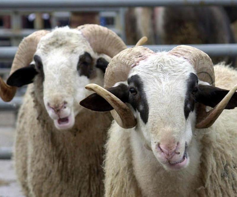 2019, çalışanlar için bol tatilli bir yıl olacak. - 10