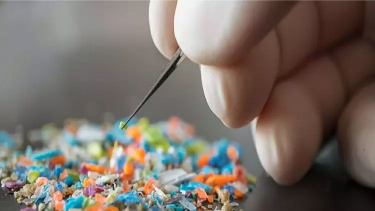 Anne sütünde tespit edilen mikroplastikler korkuttu