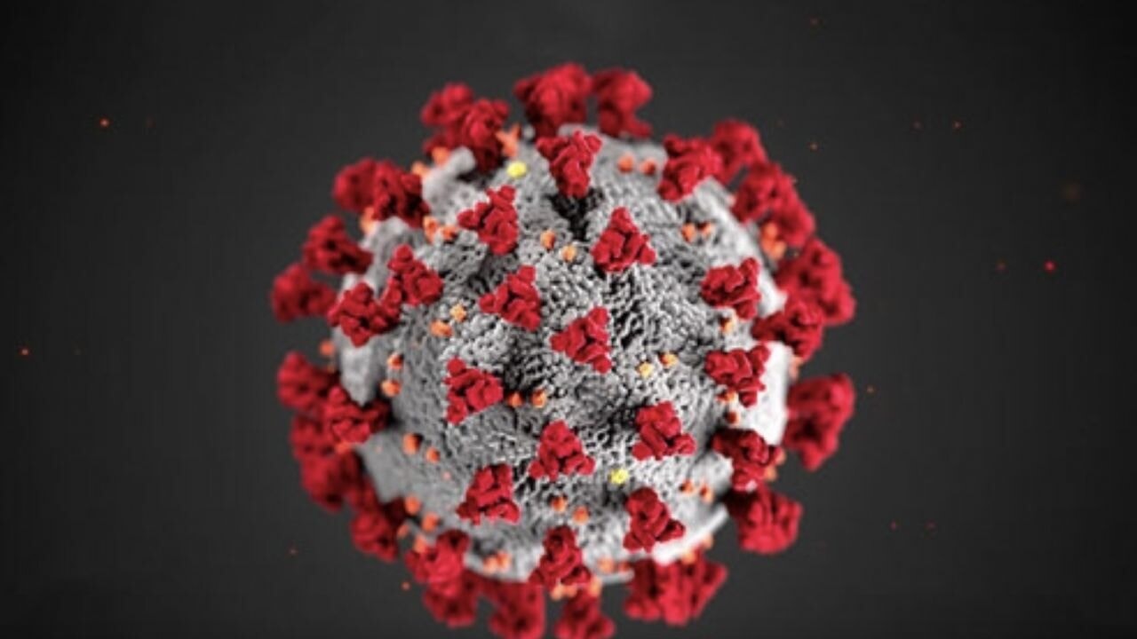 HPV nedir ve HPV belirtileri vücutta nasıl anlaşılır? Human papillomavirus yayılımını artıran faktörler