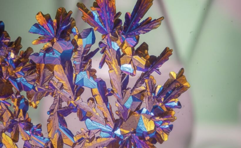 Kojik asit nedir, ne işe yarar? Cilt lekeleri, renk eşitsizliği ve batık görüntüsüne etkisi